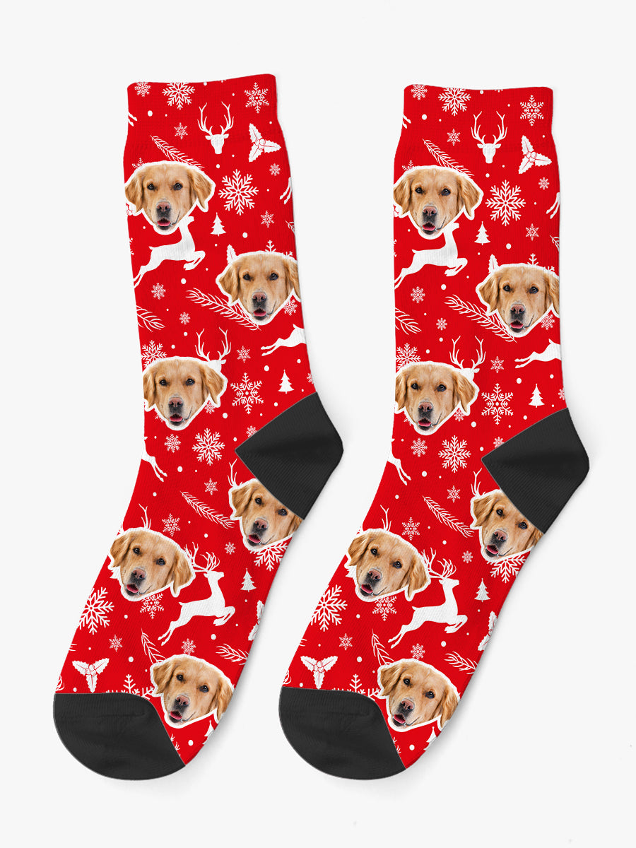 Calzini con Faccia - Natale