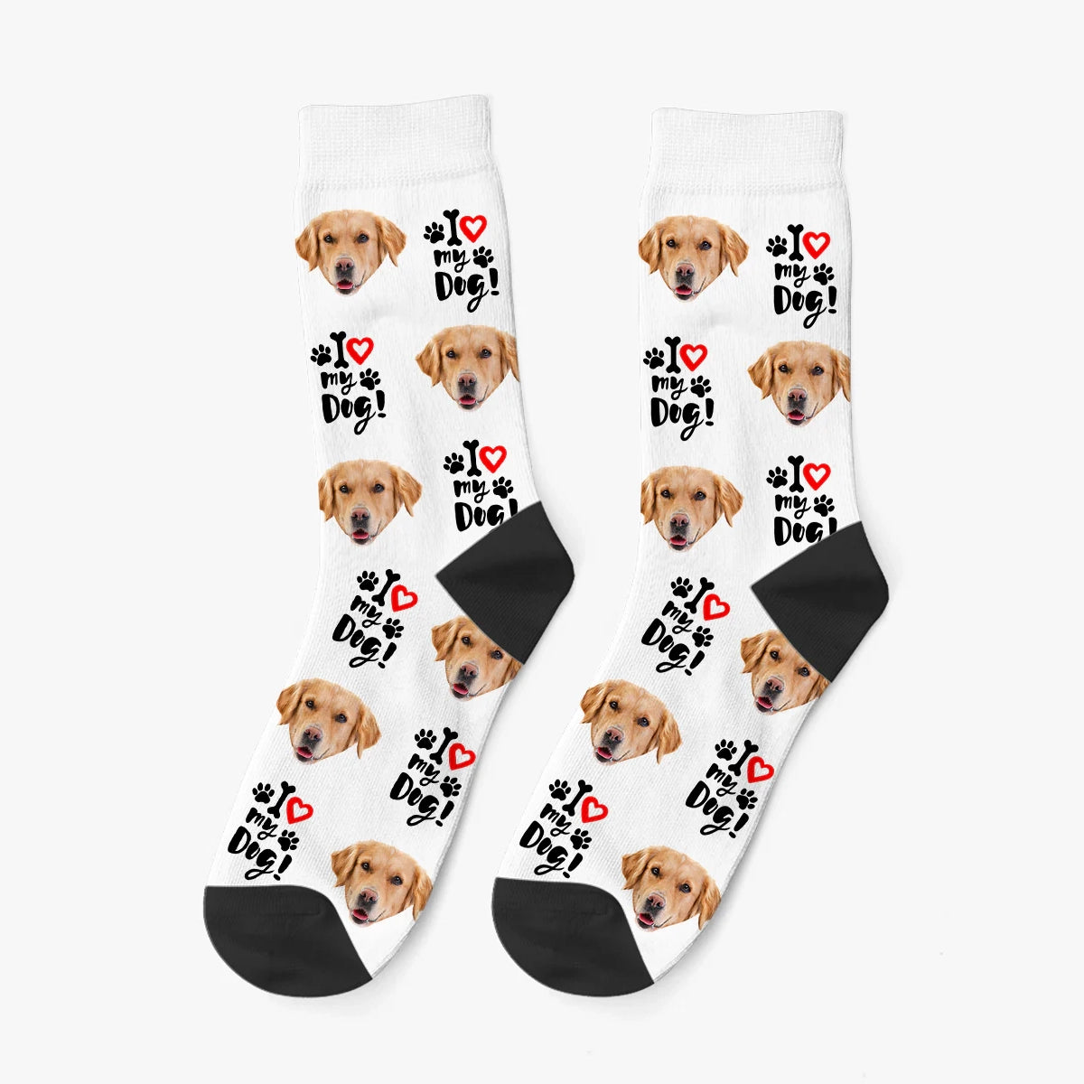 Calzini - I love my Dog