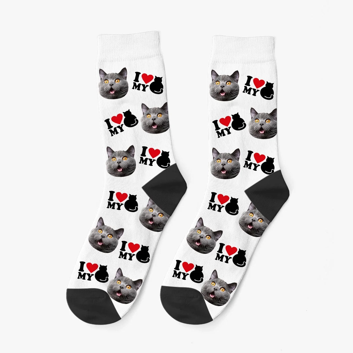 Calzini - I love my Cat